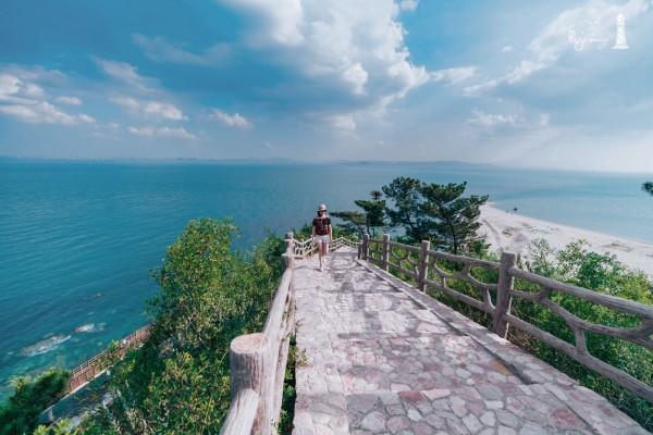 意想不到的旅程